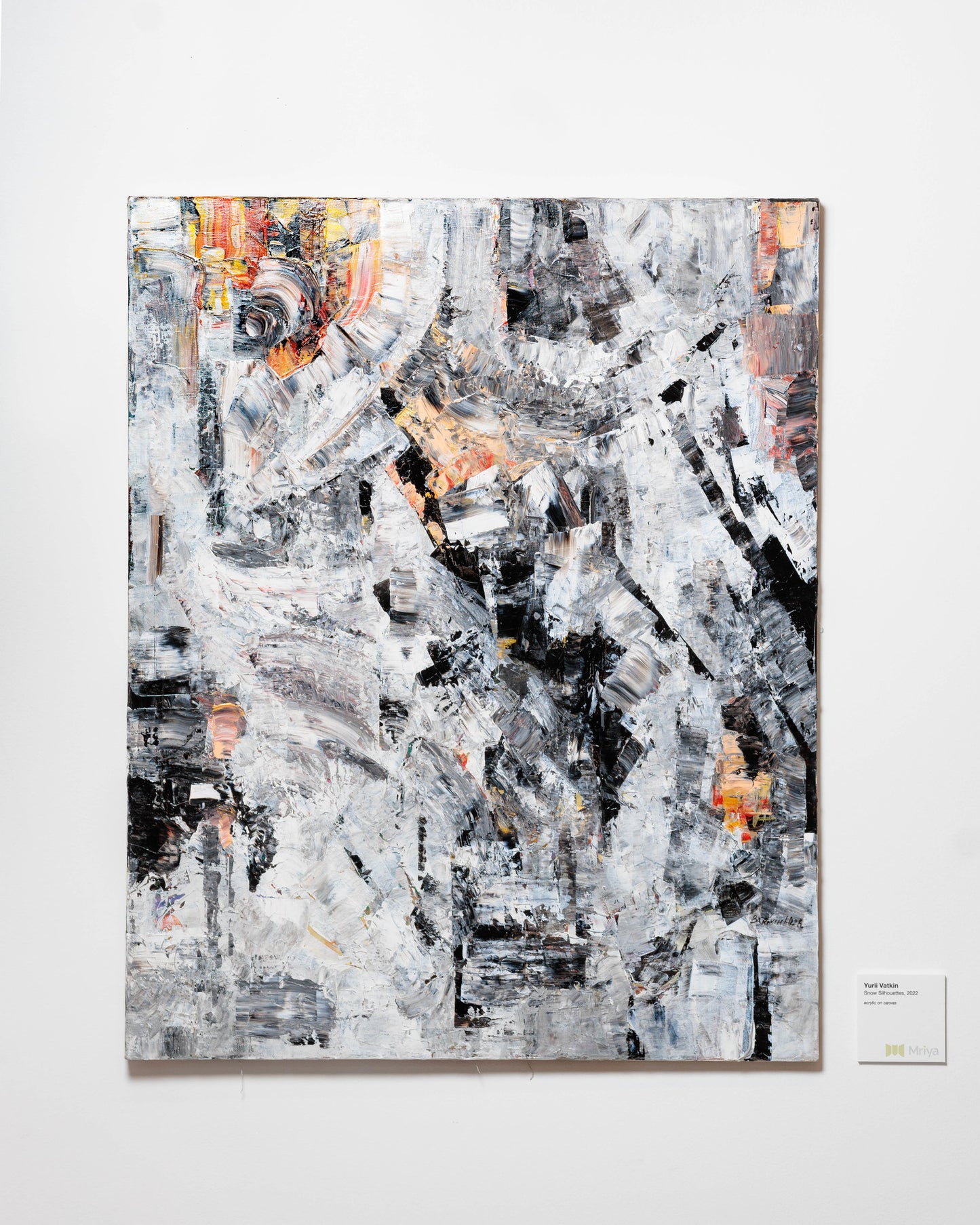Yurii Vatkin "Snow Silhouettes"