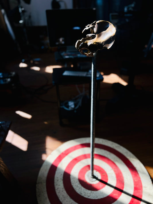 Lora Robertson "Maiden | Target | Center"