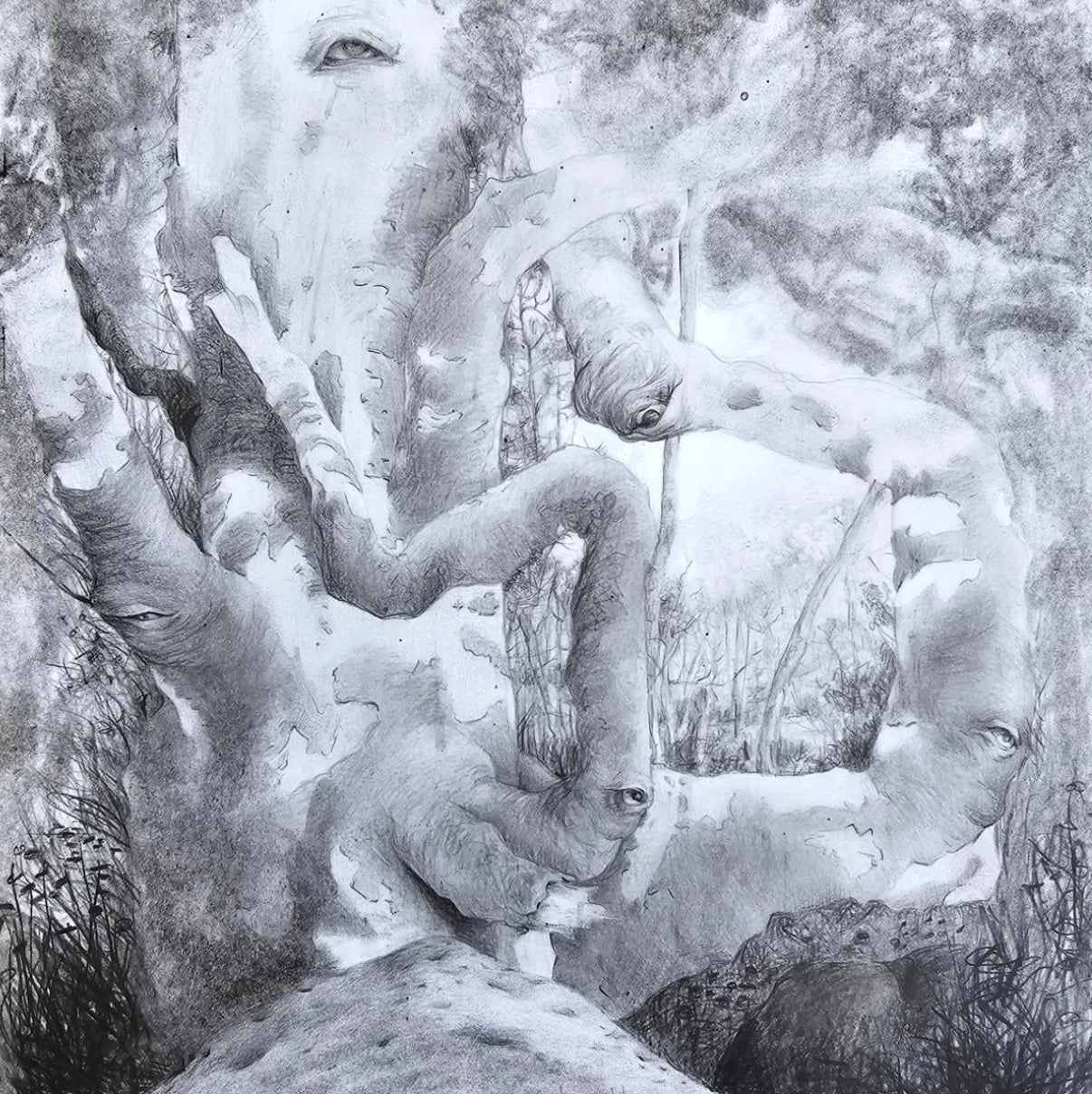 Miguel Bonilla "Untitled Forest Scene"